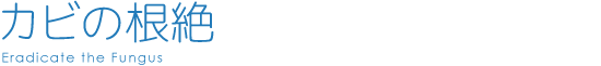 カビを根絶