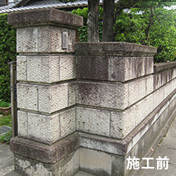 カビの生えた様子