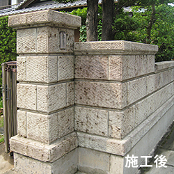 カビの生えた様子