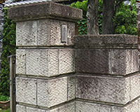 カビの生えた様子