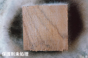 保護剤未処理